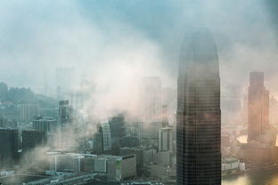 探秘经济脉动，揭秘铁矿石最新价格的市场密码与日常影响