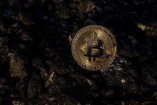 黄金小算盘，揭秘一根金条的重量秘密与价值探索
