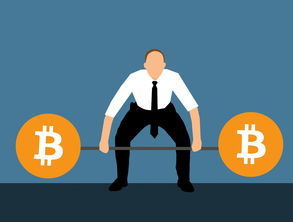 提升英语实力，闯过四级听力关，你的大学英语听力宝典