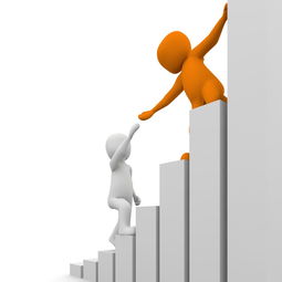 中考百科，全面解读中考政策、备考策略与心理调适