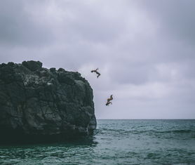 探索知识的海洋，那些令人心动的百科全书名称