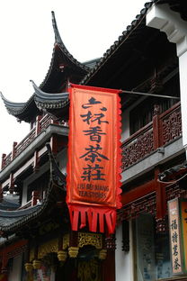 探索华夏瑰宝，中国传统文化课提问问题大全