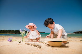 2020年幼儿园故事大全，寓教于乐的启蒙之旅