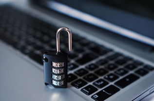 中国百科网站，知识的宝库与信息的桥梁