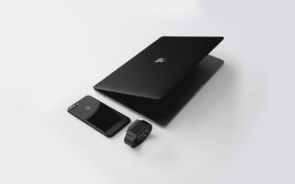 探索游戏机的世界，从经典到现代的科普之旅
