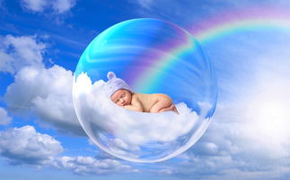 探索幼儿园的奇妙世界，知识类故事精选