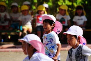 探索奇妙世界，幼儿播报中班百科知识视频的趣味之旅