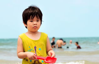 小小探险家，中班幼儿的百科知识之旅