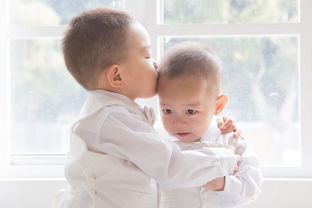 幼儿园百问百答，家长与孩子的启蒙指南