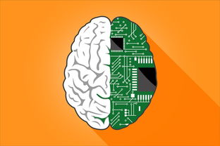 探索知识的宝藏，制作百科知识全书手抄报的指南