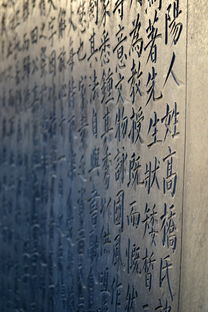 探索传统文化的精髓，一份简洁而全面的资料大全